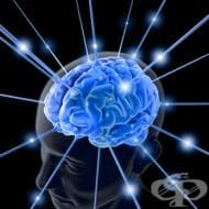 ��������� ��������� � �������� �� �� �������������� �� ����������